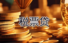 丽水税票贷